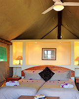 zulu nyala heritage